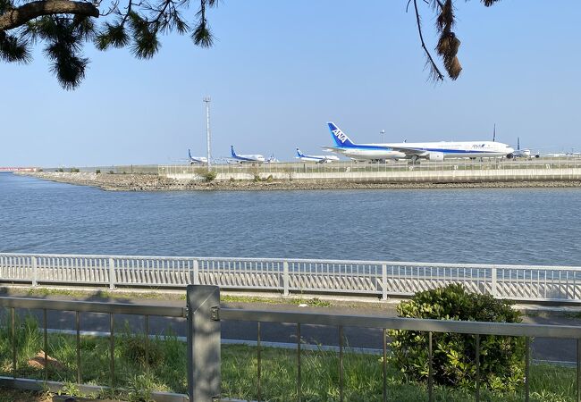 京浜島つばさ公園 クチコミ アクセス 営業時間 大森 大井町 フォートラベル