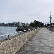 海を見ながらカモメの散歩道