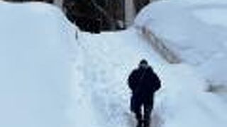 お賽銭を入れる場所が！