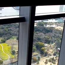 浜離宮恩賜庭園