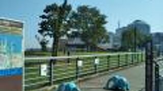 可愛らしい仔象がお出迎えを