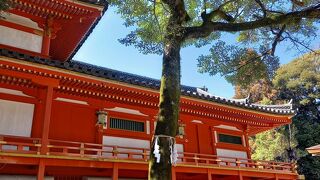 ケーブルカーで上った山の上にある神社