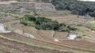 奥の方に上ると広大さがわかります