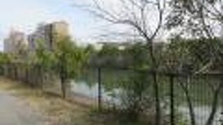 昭和の中頃まではきれいな川だったようです