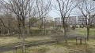 桑袋ビオトープ公園