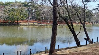 最寄り駅は東武野田線、北大宮駅と大宮公園駅