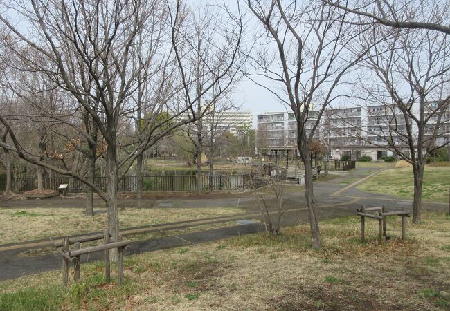 桑袋ビオトープ公園