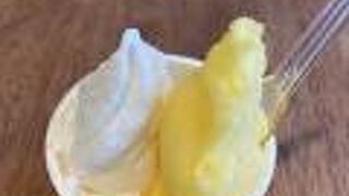 沖縄素材をいかした美味しいジェラート