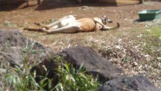 北口スタートよいです