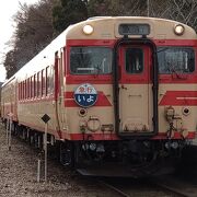 菜の花畑を走るローカル線