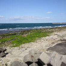 サンセットビーチの先　岩場でタコの住みか