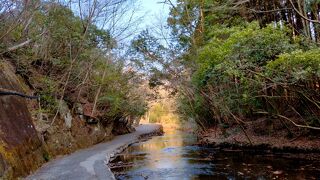 耶馬渓の溶岩が造った大きな一枚岩の岩盤の上を、水が流れる渓谷