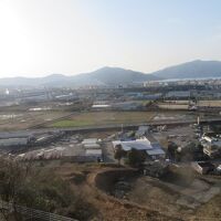 客室からの眺め