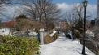 雪で埋もれていました。