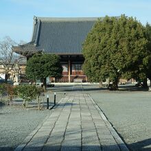 広々とした境内