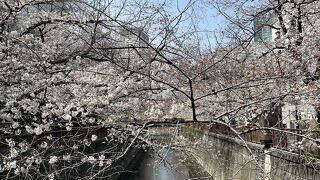 今年はライトアップなしです