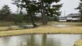 ゆったりした庭