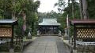 ガジュマルがある神社