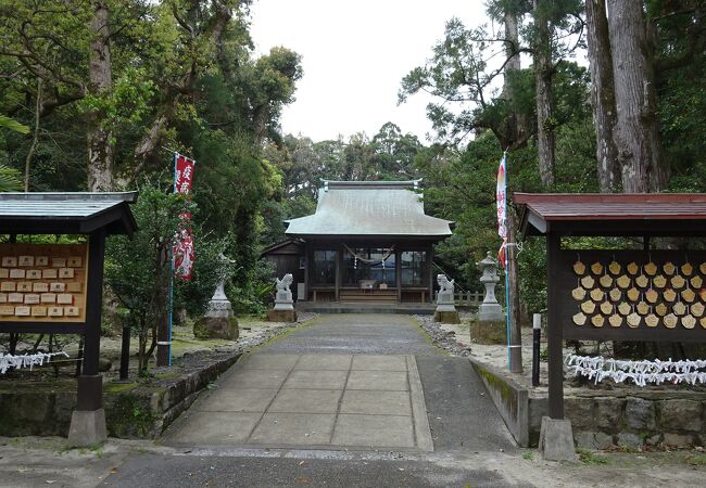 ガジュマルがある神社