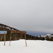 シャビ雪でも滑りやすい！