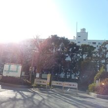 仙台堀川親水公園