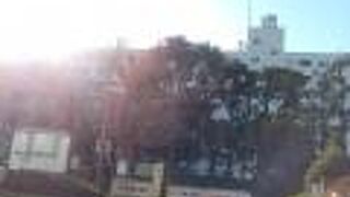 桜のお花見スポット