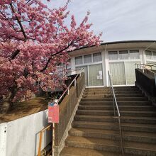 松田町立 子どもの館