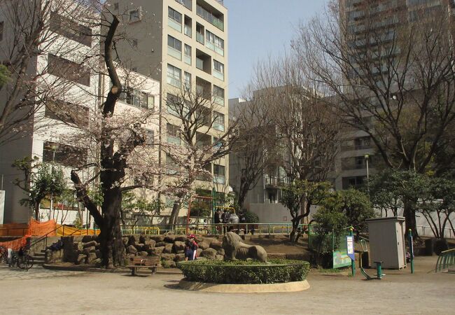 まもなく新しい公園に生まれ変わるようです