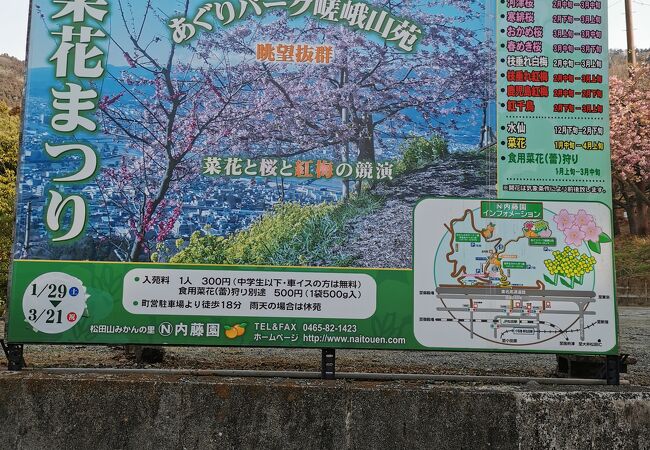 神奈川県のテーマパーク クチコミ人気ランキングtop40 フォートラベル