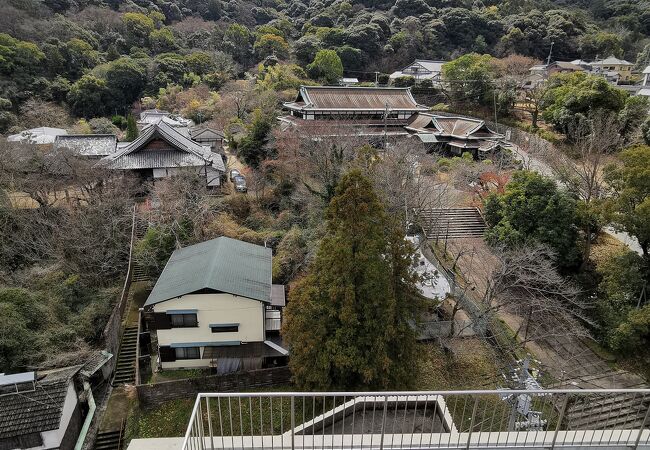 琴平公園