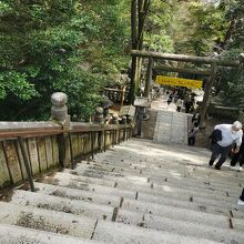 金刀比羅宮 事知神社