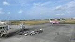 丁度ジンベエジェットが！