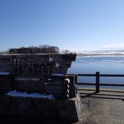 野鳥の楽園