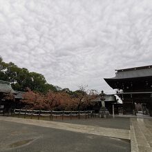 宮地嶽神社