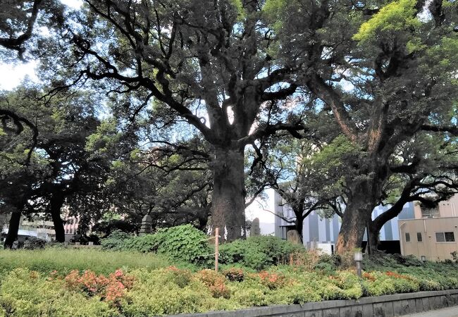 花畑公園 クチコミ アクセス 営業時間 熊本市 フォートラベル 花畑公園 クチコミ アクセス 営業時間 熊本市 フォートラベル