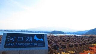 河口湖畔の公園