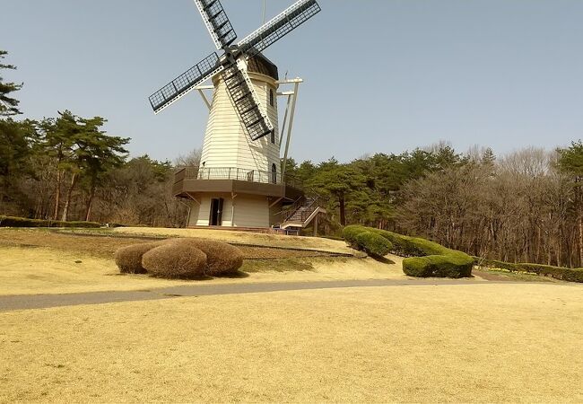 広い県営公園