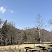 商売っ気のない植物園