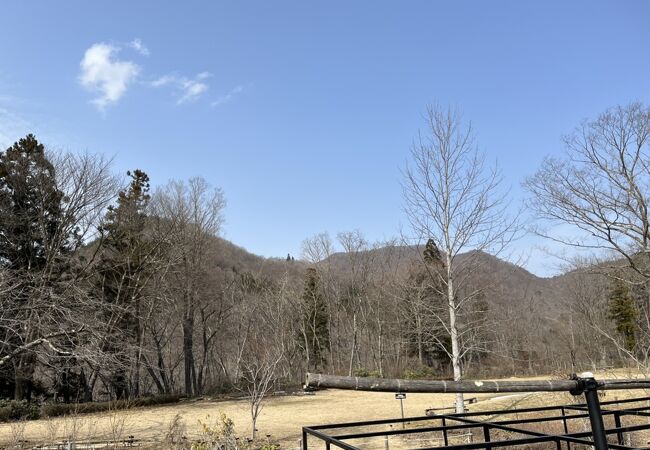 商売っ気のない植物園