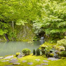 慈恩禅寺 ?草園