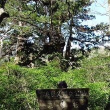 見事に空中結合