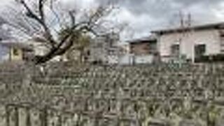 大規模リニューアル