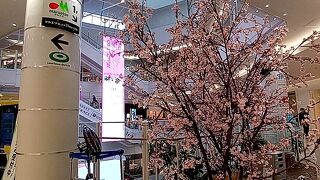 ニューオープン続々