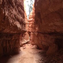 ウォールストリート