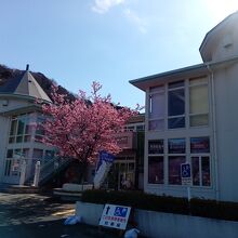 河津桜観光交流館