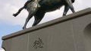 像の大きさを実感できました