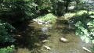 １．４㎞にわたる、緑に囲まれた流れが心地よい散歩道