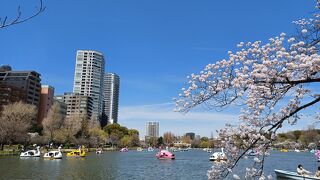 沢山のボートが出てました。