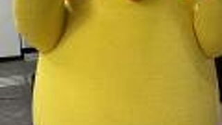  ポインコ兄弟 がいました