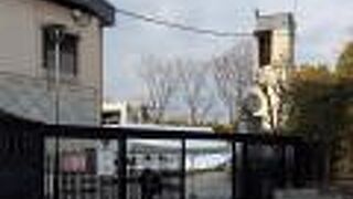 夏にフェスティバルがあったりしました